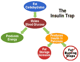 Insulin: PT Gen Personal Trainer Southampton